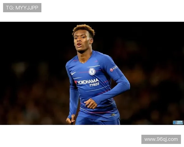 德天空曝汉堡争留武什科维奇未果